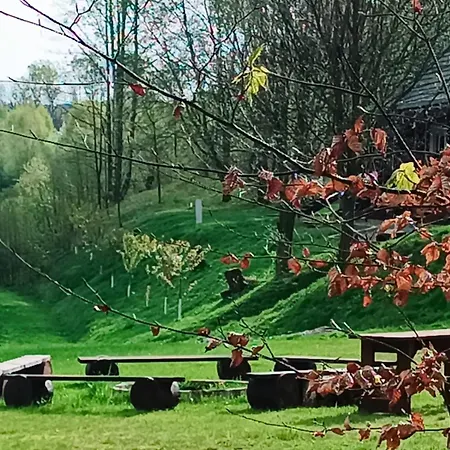 Ekogaik *